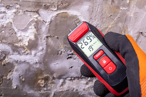 Best Fast Mold Removal  in Columbia, TN