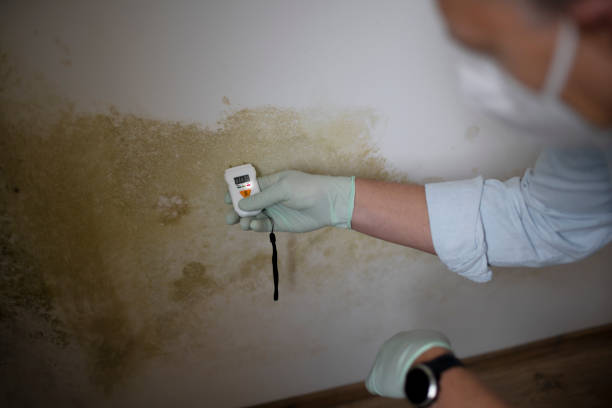 Best Mold Testing  in Columbia, TN