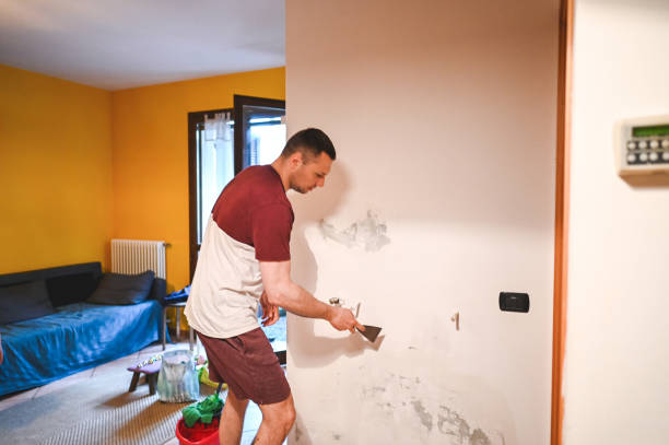 Mold Removal Process in Columbia, TN