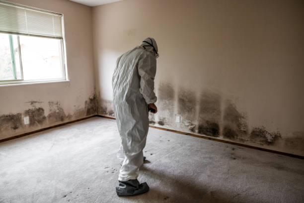  Columbia, TN Mold Removal Pros